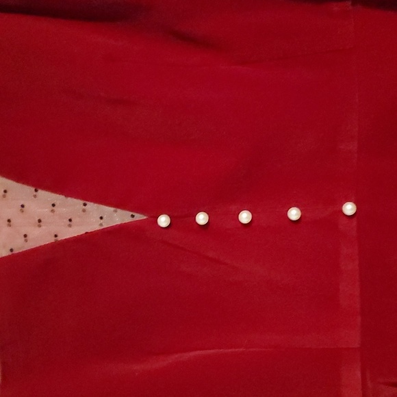 Red Velvet Dress with mesh top - Picture 4 of 5